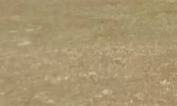 Imagem 3: Casa Parque dos Desejos