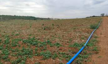Imagem 2: VENDA/TROCA TERRENO COM 4 HECTARES, BEIRA RIO!!