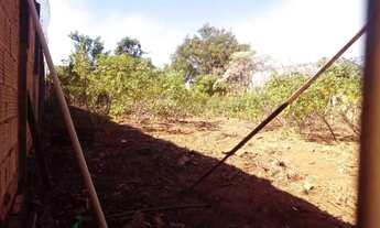 Imagem 4: Terreno Padrão em Araraquara