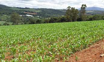 Imagem 2: TERRENO 2HC SERRA AZUL IGARAPÉ/MATEUS LEME