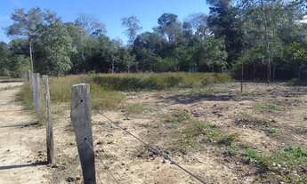 Imagem 4: Vendo lote em Barão de melgaço, comunidade Piuva 35.000R