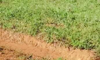 Imagem: Chácara 06 alqueires Pirenópolis