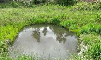 Imagem 7: Sítio à Venda no Vale Verde