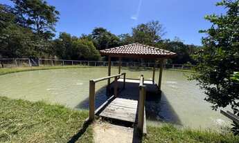 Imagem 7: Fazenda vila propricio-go