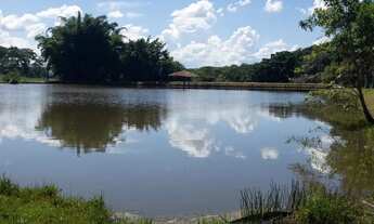 Imagem 4: Fazenda a venda, Município de Goiânia- Goiás!!!
