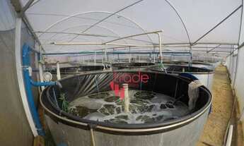 Imagem 2: Amplo Sítio à Venda na Cidade de São Simão com 133100 m²