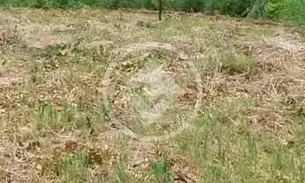 Imagem 4: TERRENO | VENDA| RESIDENCIAL NOVA ESPERANÇA | 450M²