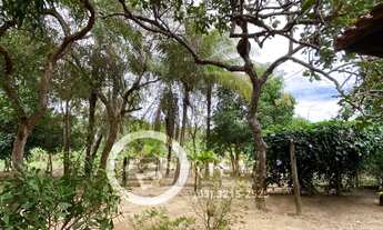 Imagem 3: Vendo chácara situada na região sul de Palmas, próxima a Agrotins