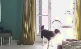 Imagem 6: Casa para Venda - 97,95m², 4 dormitórios, 1 vagas - Hípica, Porto Alegre