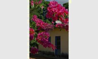 Imagem 6: Fazenda a venda com 86 hectares em Unaí, Minas Gerais