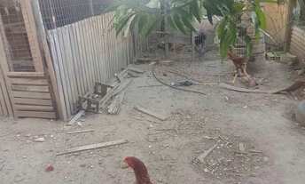 Imagem 3: TERRENO EM CAMPO GRANDE R VITOR ALVES