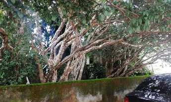 Imagem 5: Terreno com 450 m2.Pedro Ludovico - Goiânia - GO