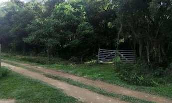 Imagem 6: Chácara à venda, 12000 m² por R$ 250.000 - Areia Branca dos Assis - Mandirituba/Paraná