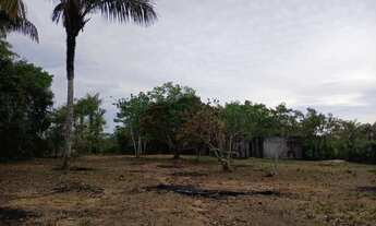 Imagem 4: Chacara no ramal do janauari