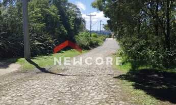 Imagem 7: Lote em Rua Sábias - Colinas - São Francisco de Paula/RS