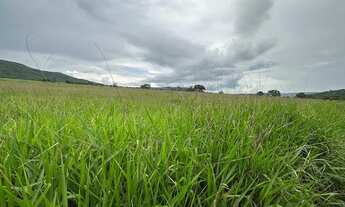 Imagem 2: Venda! Fazenda / sítio com venda por R$16.000.000