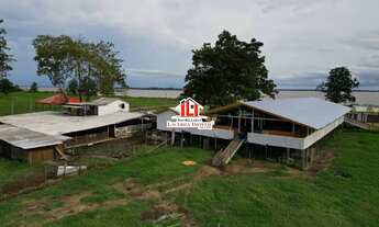 Imagem 2: Fazenda em Iranduba medindo 1.800 x 1.000= 1.800.000m² na várzea