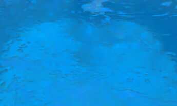 Imagem: Disponível para o Carnaval prox a rotatória