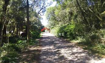 Imagem 5: Lote em Rua Sábias - Colinas - São Francisco de Paula/RS