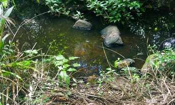 Imagem 2: 60 tarefas com riacho perene e pastagem formada