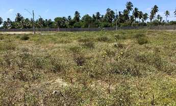 Imagem 7: Villaredo Aruana, Quitado [123