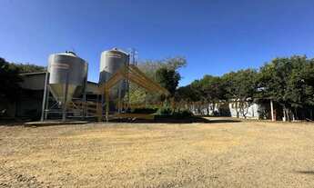 Imagem: Sitio com granjas, área com 5,5 alqueires