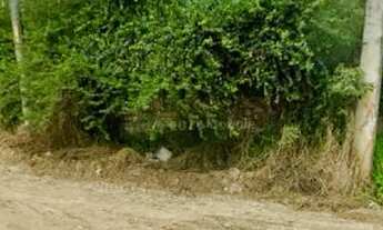 Imagem 3: Terreno a Venda ou Locação em Subaé Feira de Santana