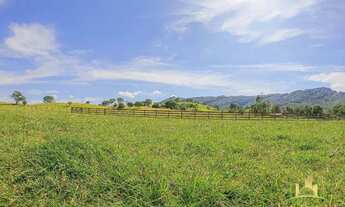 Imagem: Fazenda 32 Alqueires - Sanclerlândia Goiás