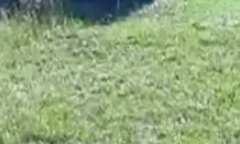 Imagem: Lote em Rua Guarani - Centenário - Sapiranga/RS