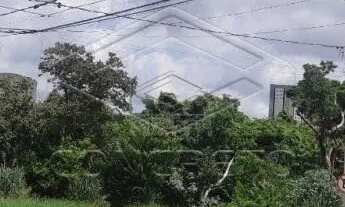 Imagem 4: TERRENO PRÓXIMO Á SERVUS