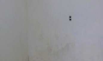 Imagem 4: Casa para alugar com 2 dormitórios em , cod:22757