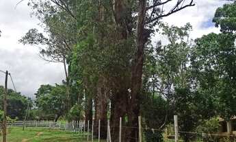 Imagem 5: Terreno Excelente de 65.000m² com Três Casas Lagoa e Riacho