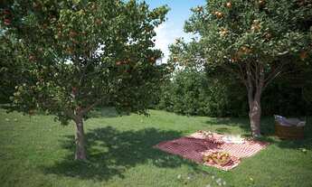 Imagem 7: Apartamento residencial para venda, Fundação da Casa Popular, Campinas - AP10944