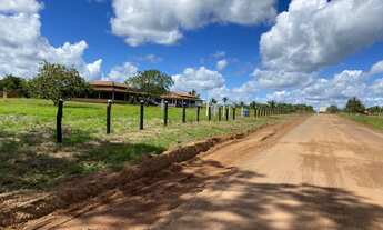 Imagem 2: Fazenda 225 hec em Cantanhede/Ma