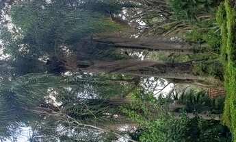 Imagem 4: Belíssimo Sítio em Porto Feliz