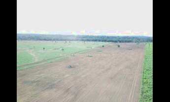 Imagem 2: Excelente Fazenda no Muni. de Alta Floresta-MT
