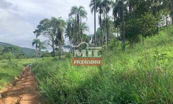 Imagem 2: Fazenda de Pecuária em Campinaçu-GO. > 255 Alq. (1.234 Há