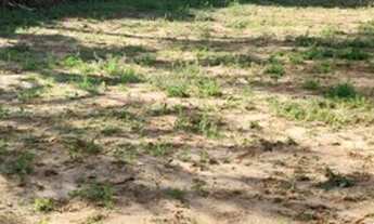 Imagem 3: Excelente terreno frente norte,perto da praia, mercado, farmácia com escritura pública