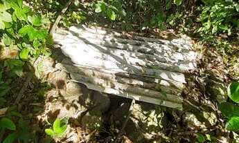 Imagem 7: Chácara para venda com 3 hectares em Rolante - RS