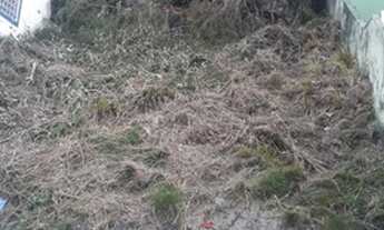 Imagem 6: Mangaratiba - Terreno Padrão - Ibicuí