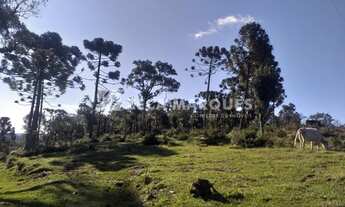 Imagem 6: Sítio/Chácara para venda tem 182000 metros quadrados em - Urubici - SC