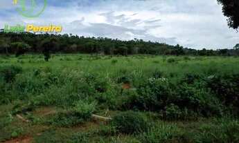 Imagem 3: FAZENDA À VENDA EM RIO NEGRO - MS - DE 480 HEC- (PECUÁRIA