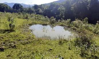 Imagem 3: Chácara para venda com 3 hectares em Rolante - RS