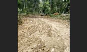 Imagem: VENDO FAZENDA 1200 hec BRUTA REGIÃO DE