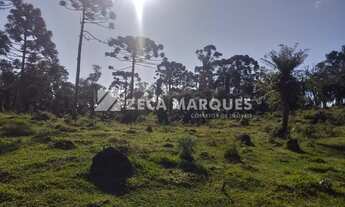 Imagem 4: Sítio/Chácara para venda tem 182000 metros quadrados em - Urubici - SC