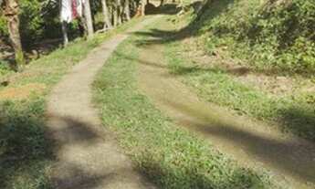 Imagem 5: Excelente Sitio Rua 8 Agro Brasil aceito carro