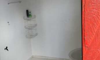 Imagem 4: Sítio bem rústico em Presidente Figueiredo