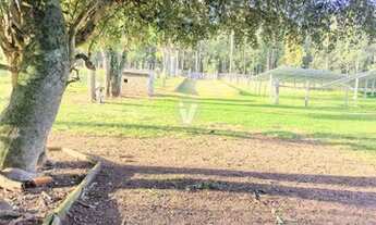 Imagem 6: MARAVILHOSA CHÁCARA DE SE ENCANTAR COM A NATUREZA