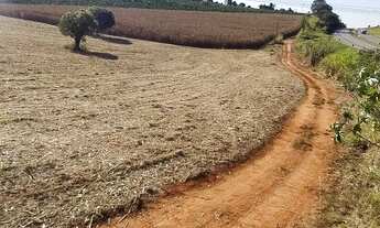 Imagem 3: Terreno - Rodovia Fernão Dias - Lavras - MG
