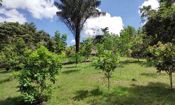 Imagem 7: Sítio bem rústico em Presidente Figueiredo